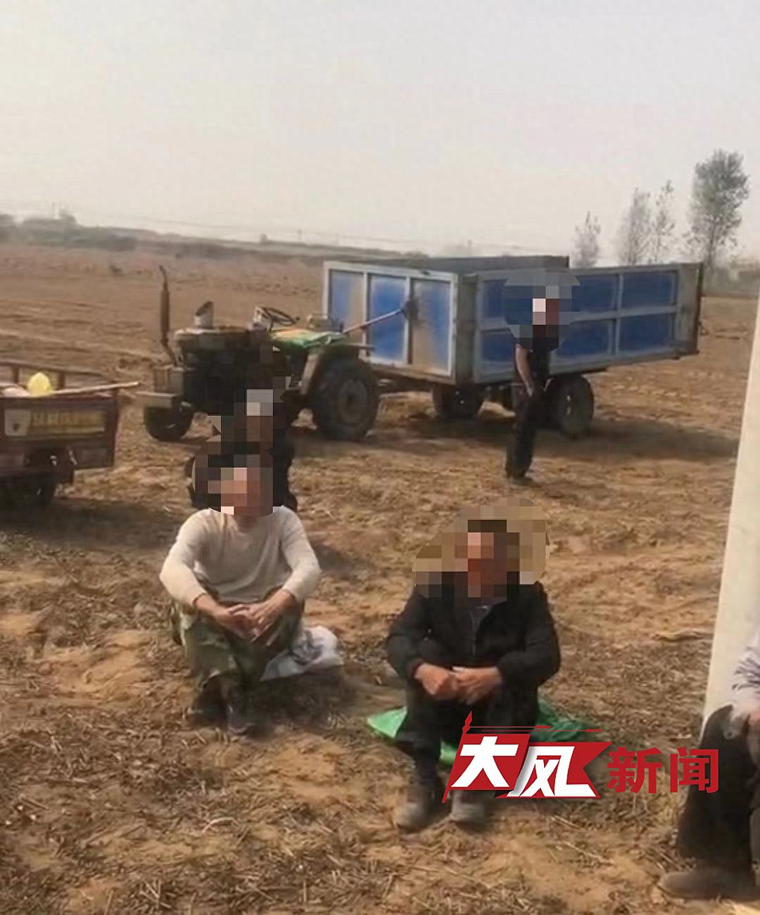 因领导检查扬尘太大,河南延津禁用机械设备收花生?当地回应