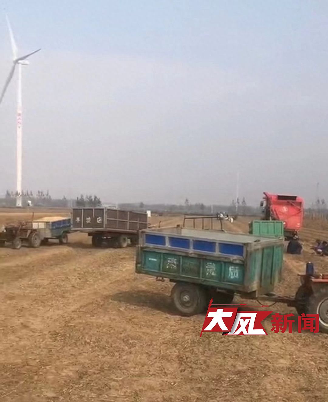 因领导检查扬尘太大,河南延津禁用机械设备收花生?当地回应
