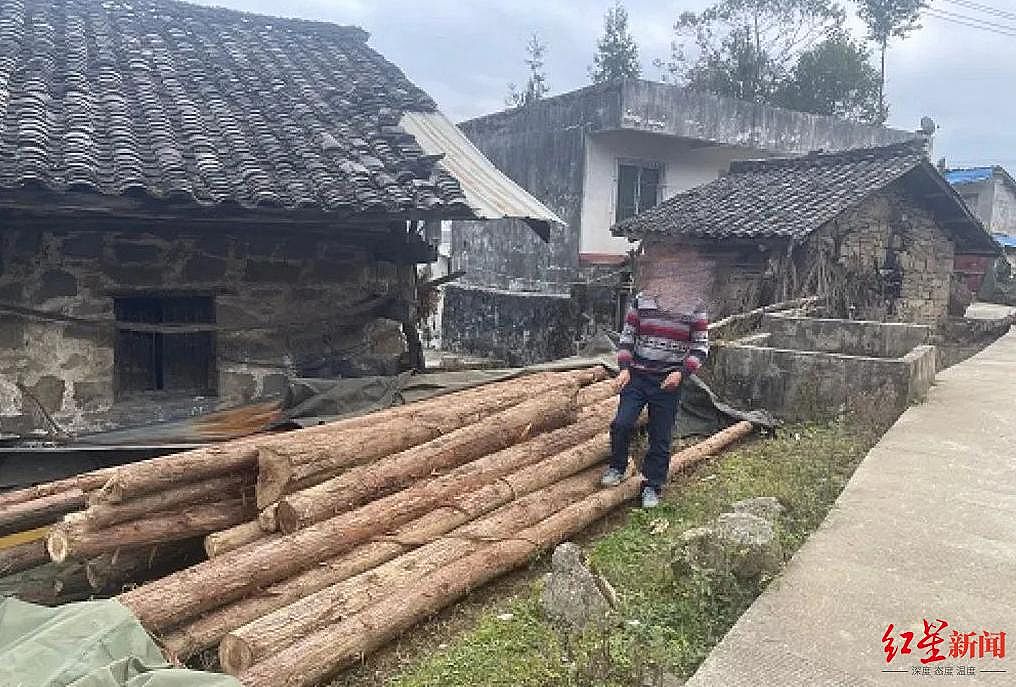 村民砍伐自家514株林木涉嫌滥伐林木罪被刑拘，警方回应
