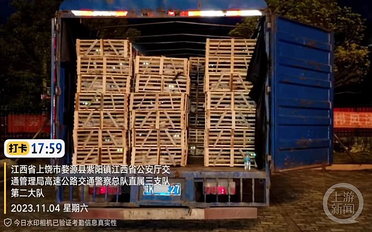 爱心人士从江苏追到江西拦截运猫车:截获千余只,有家猫