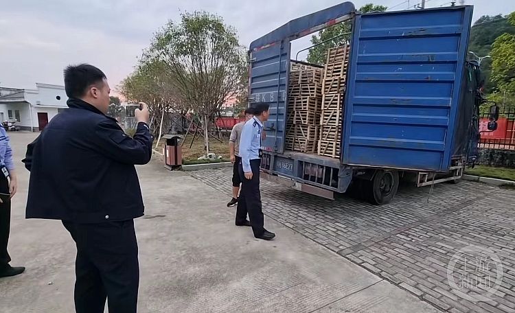 爱心人士从江苏追到江西拦截运猫车:截获千余只,有家猫