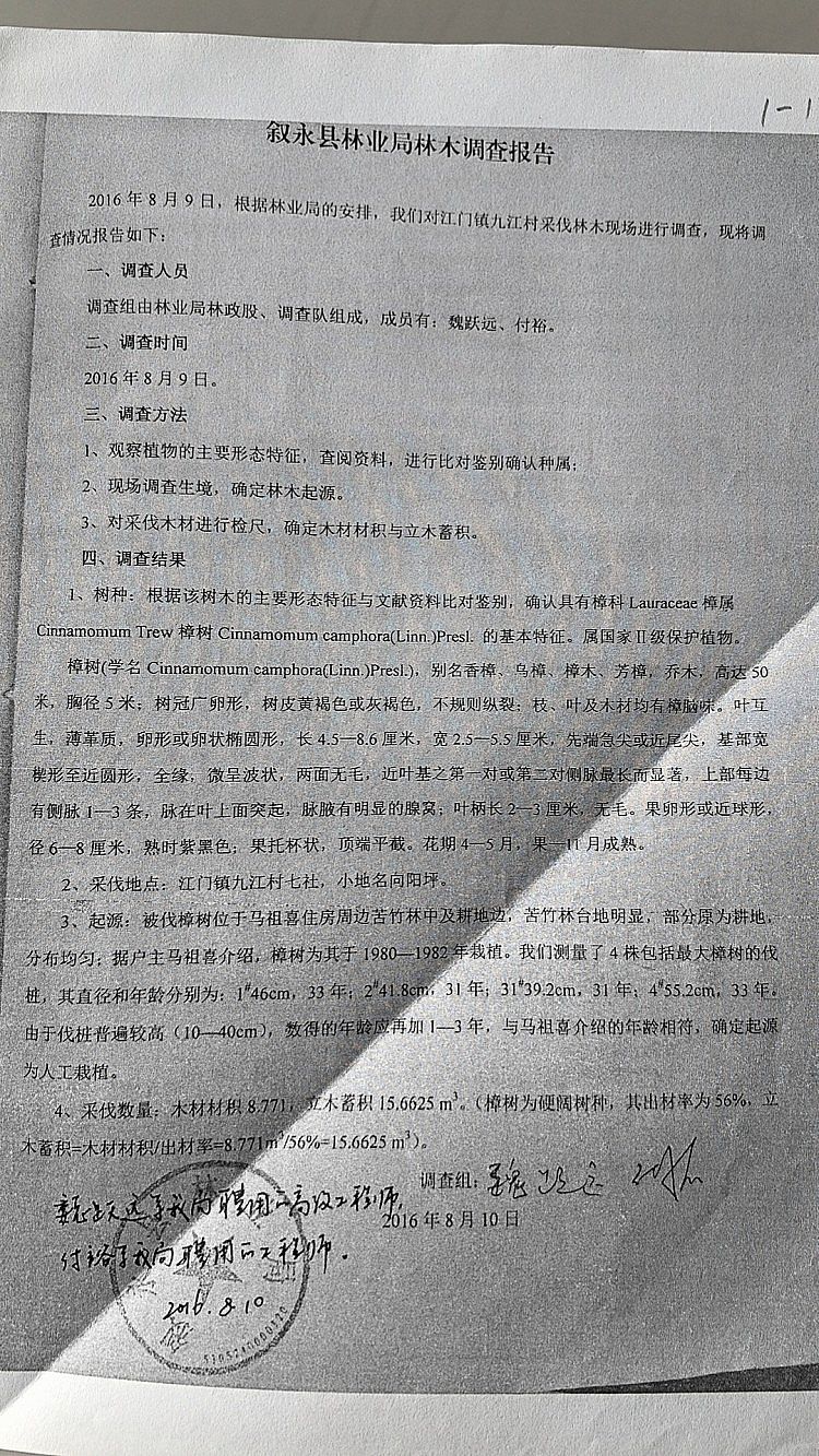 男子售卖自家26棵香樟判缓刑背后:人工栽种香樟算不算重点保护植物