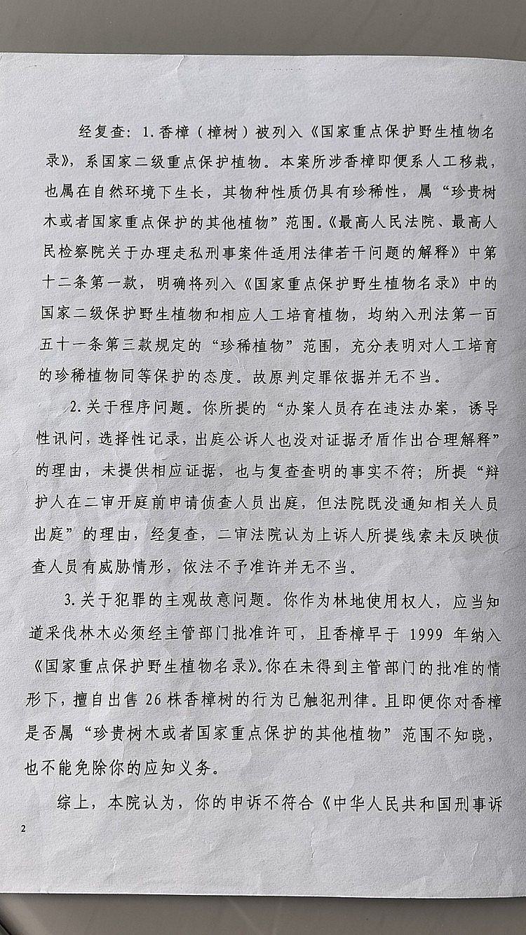 男子售卖自家26棵香樟判缓刑背后:人工栽种香樟算不算重点保护植物