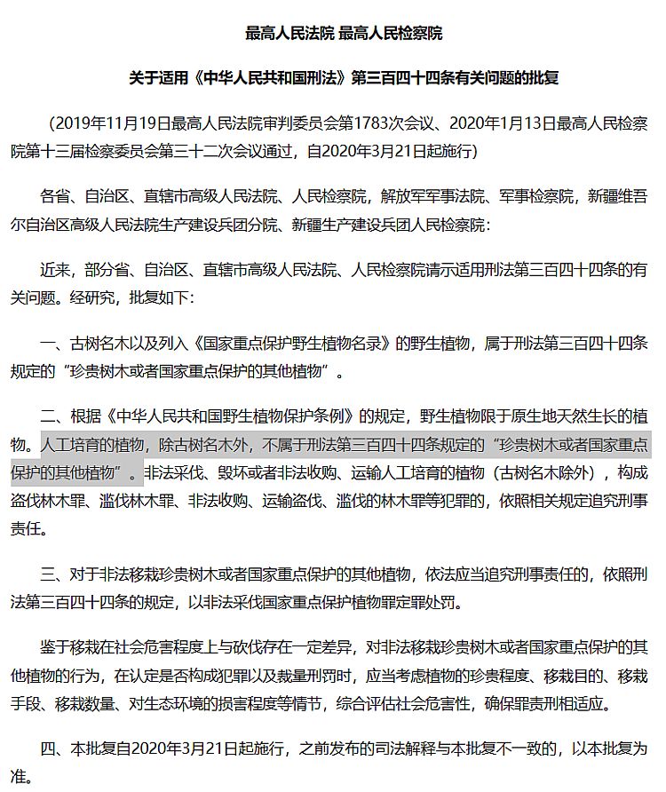 男子售卖自家26棵香樟判缓刑背后:人工栽种香樟算不算重点保护植物